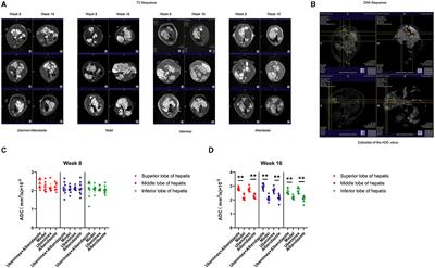 Ubenimex combined with Albendazole for the treatment of Echinococcus multilocularis-induced alveolar echinococcosis in mice